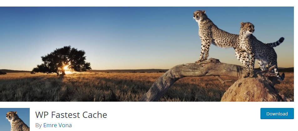 WP Fastest Cache
