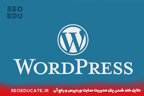 4دلیل مهم کند شدن پنل مدیریت سایت وردپرس + راهکار 3 دلایل کند شدن پنل مدیریت سایت وردپرس و رفع آن