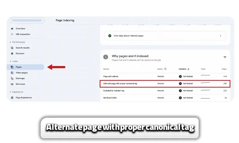 ارورهای سرچ کنسول + آموزش رفع ارورهای سرچ کنسول 13 Alternate page with proper canonical tag