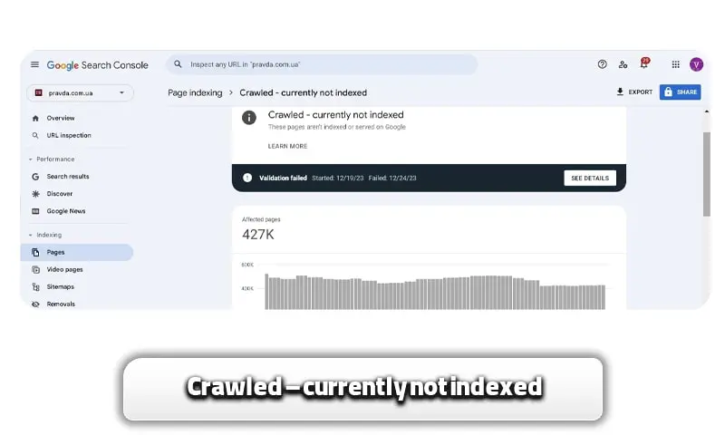 ارورهای سرچ کنسول + آموزش رفع ارورهای سرچ کنسول 14 Crawled – currently not indexed