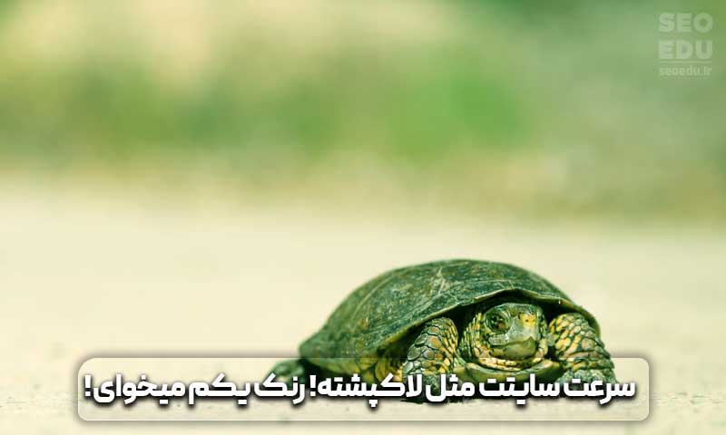 قرار گرفتن در صفحه اول گوگل چگونه امکان پذیر است؟ 12 سرعت پایین مانع رسیدن به صفحه اول گوگل