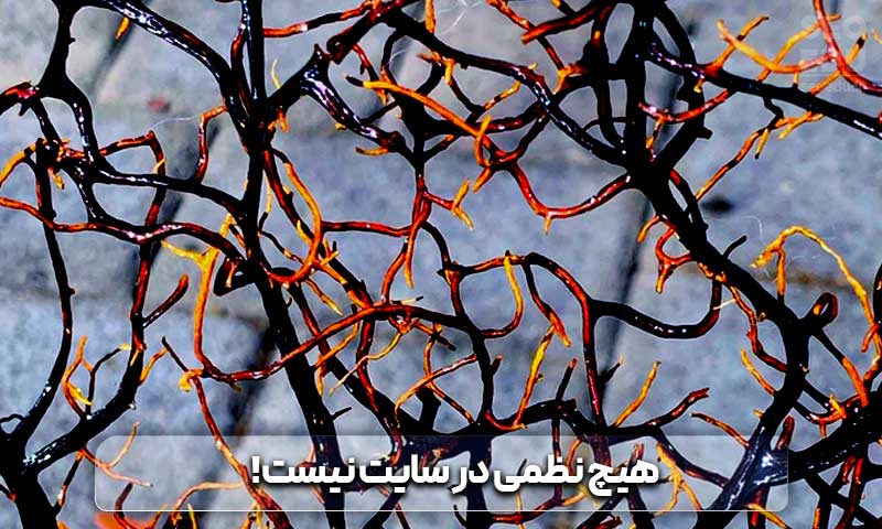 قرار گرفتن در صفحه اول گوگل چگونه امکان پذیر است؟ 15 نداشتن نظم در تولید محتوا