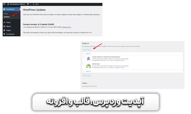 آپدیت وردپرس، قالب و افزونه