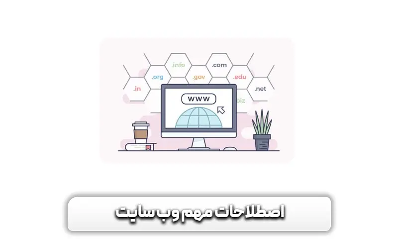 وب سایت چیست؟ معرفی وب سایت به زبان ساده 6 اصطلاحات مهم وب سایت چیست؟