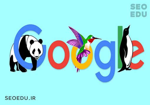 الگوریتم مرغ مگس خوار 5 الگوریتم مرغ مگس خوار و تاثیر آن در سئو