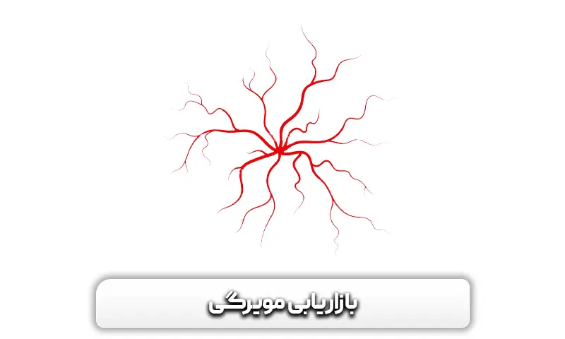 بازاریابی مویرگی