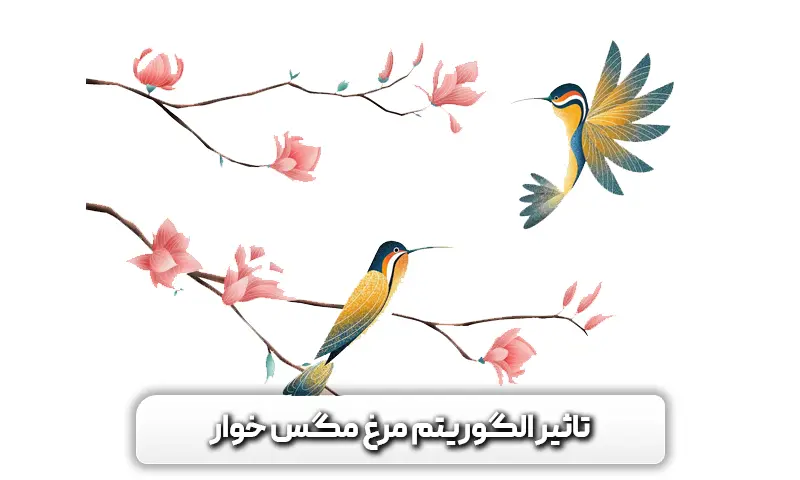 الگوریتم مرغ مگس خوار 4 تاثیر الگوریتم مرغ مگس خوار بر جستجو