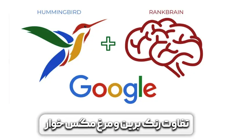 تفاوت رنک برین و مرغ مگس خوار